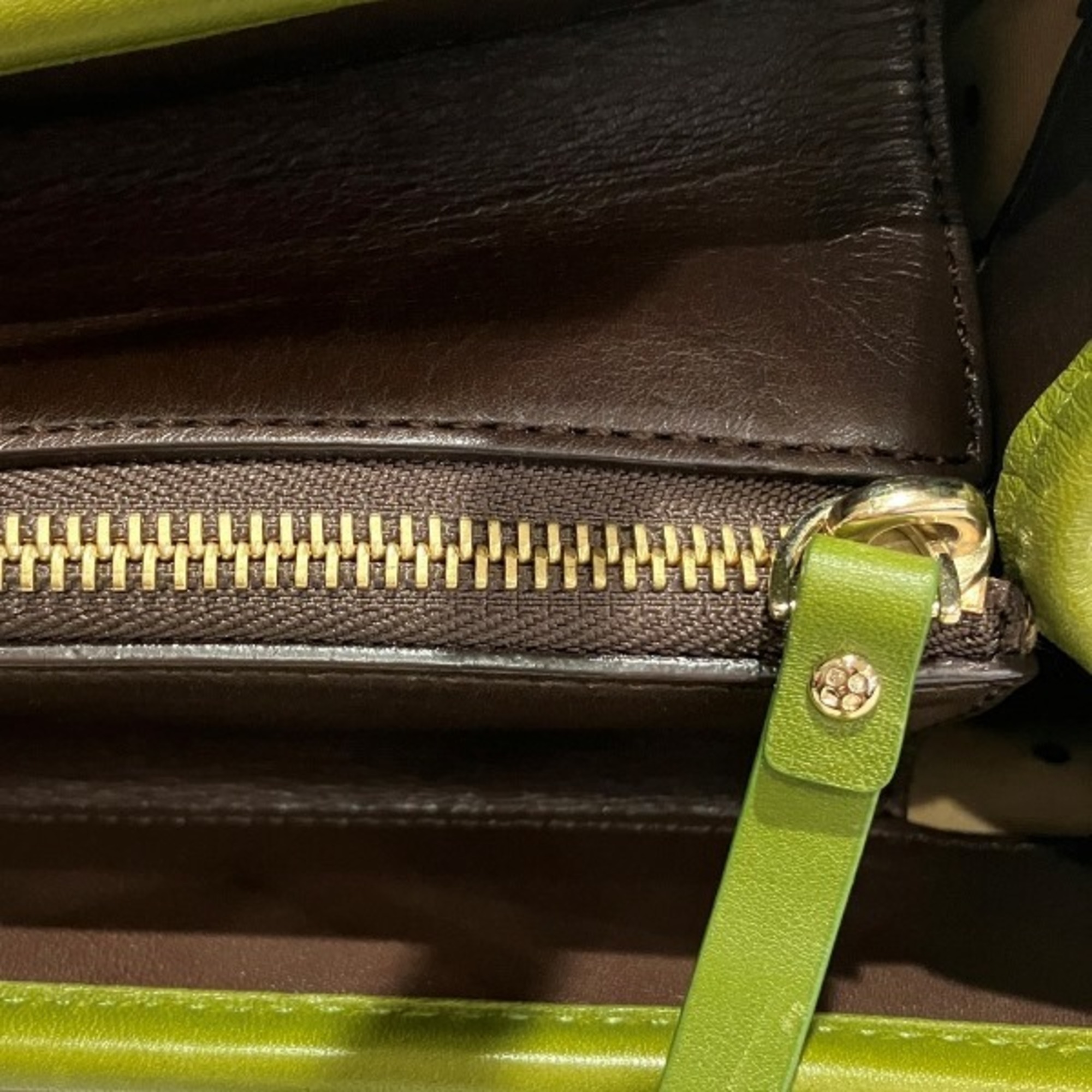 Kate Spade Brown x Green Leather Bag Handbag for Women