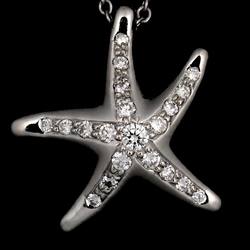 Tiffany & Co. Starfish Diamond Necklace 41cm Pt Platinum