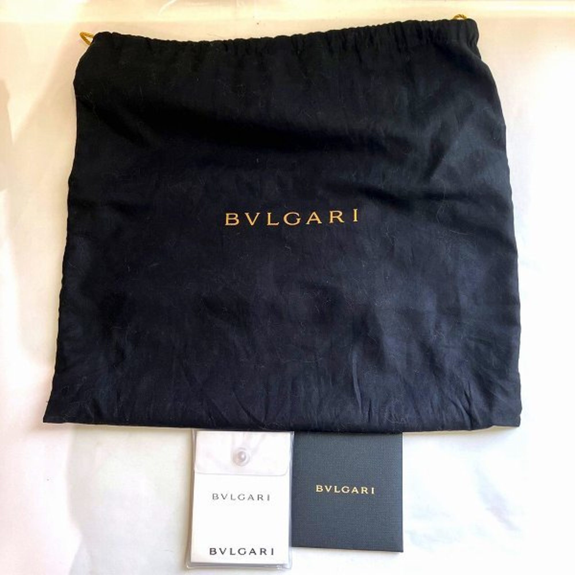 BVLGARI Isabella Rossellini Leather Bag Shoulder for Women