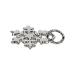 Tiffany Snowflake Pendant Silver for Women TIFFANY&Co.