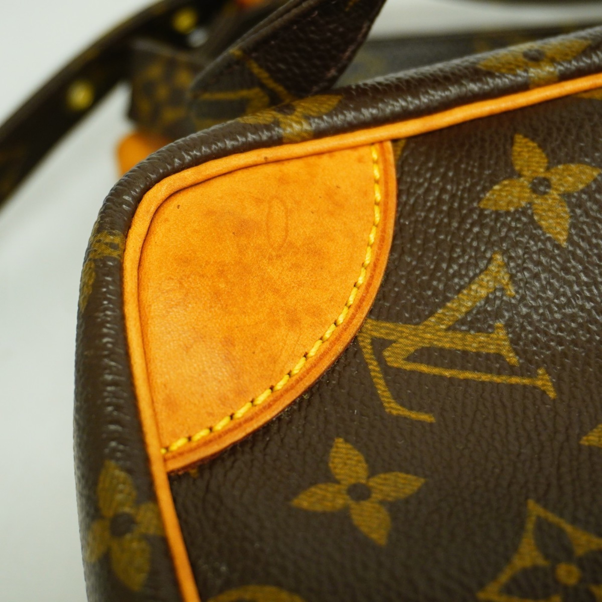 Louis Vuitton Shoulder Bag Monogram Danube M45266 Brown Ladies