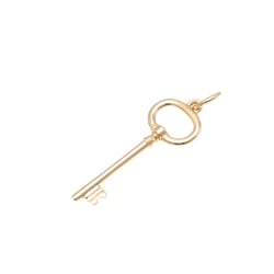 Tiffany Oval Key Pink Gold (18K) No Stone Men,Women Fashion Pendant Necklace (Pink Gold)