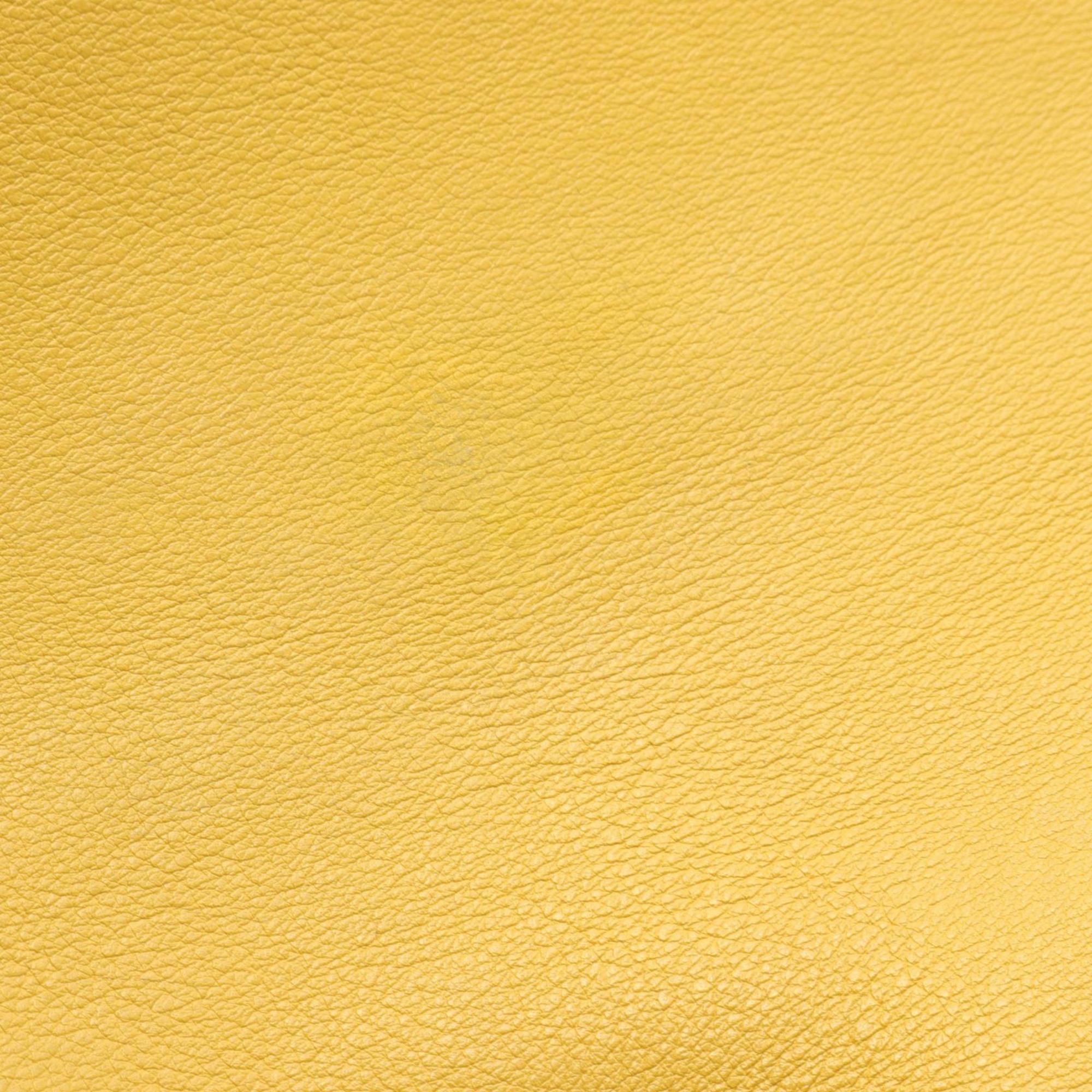 CELINE Cabas Phantom Tote Bag Leather Women's Yellow 169933