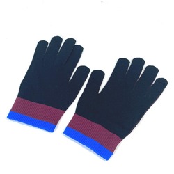 LOUIS VUITTON MP2424 Gon RGB Gloves, Nylon, Polyurethane, Men's, Purple