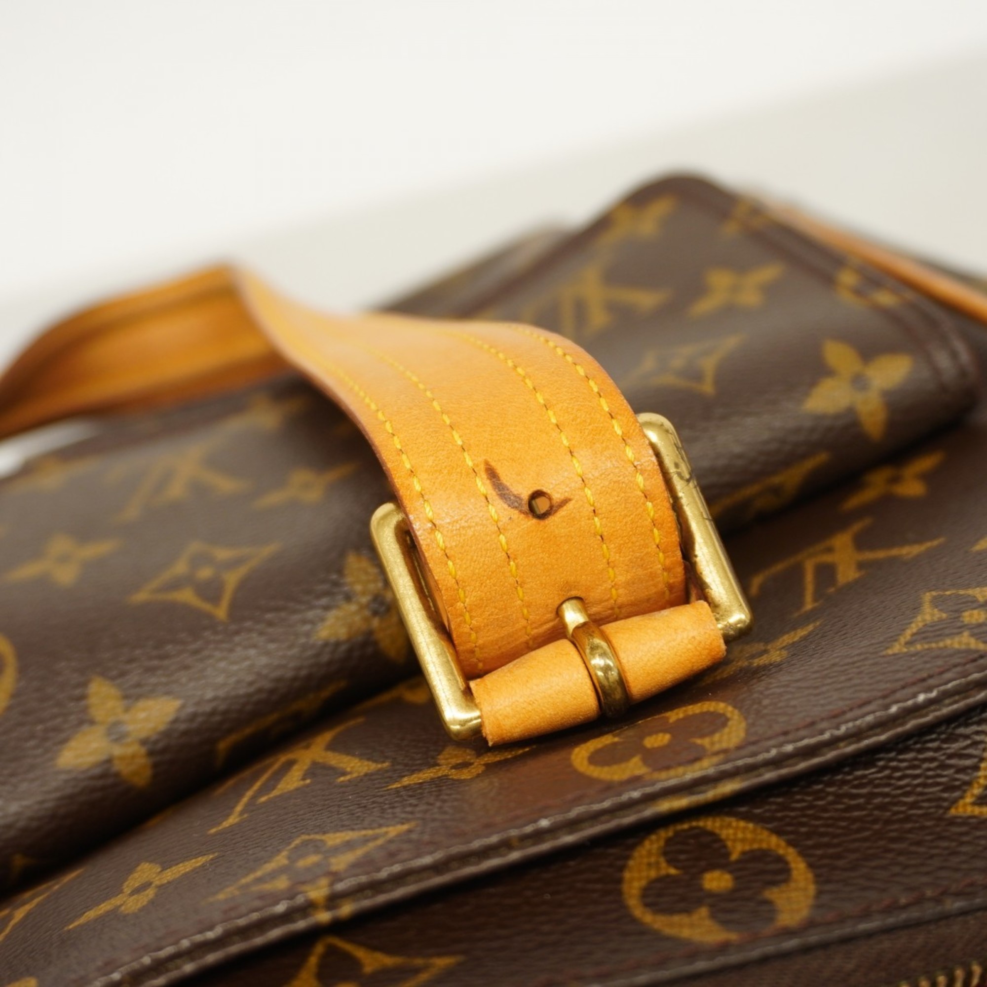 Louis Vuitton Tote Bag Monogram Multiplicite M51162 Brown Ladies