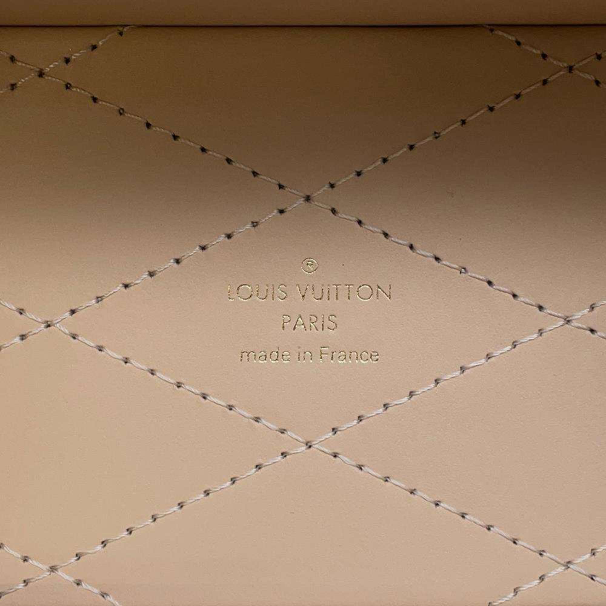 Louis Vuitton Monogram Camera Box M10079 LOUIS VUITTON 2way Shoulder Bag