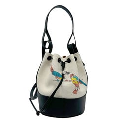 LOEWE Handbag Shoulder Bag Paula's Ibiza Canvas Leather Off-White Multicolor Black Silver Women's z2816