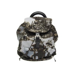 Prada Landscape Painting Women's Nylon Backpack Gray,Khaki Brown