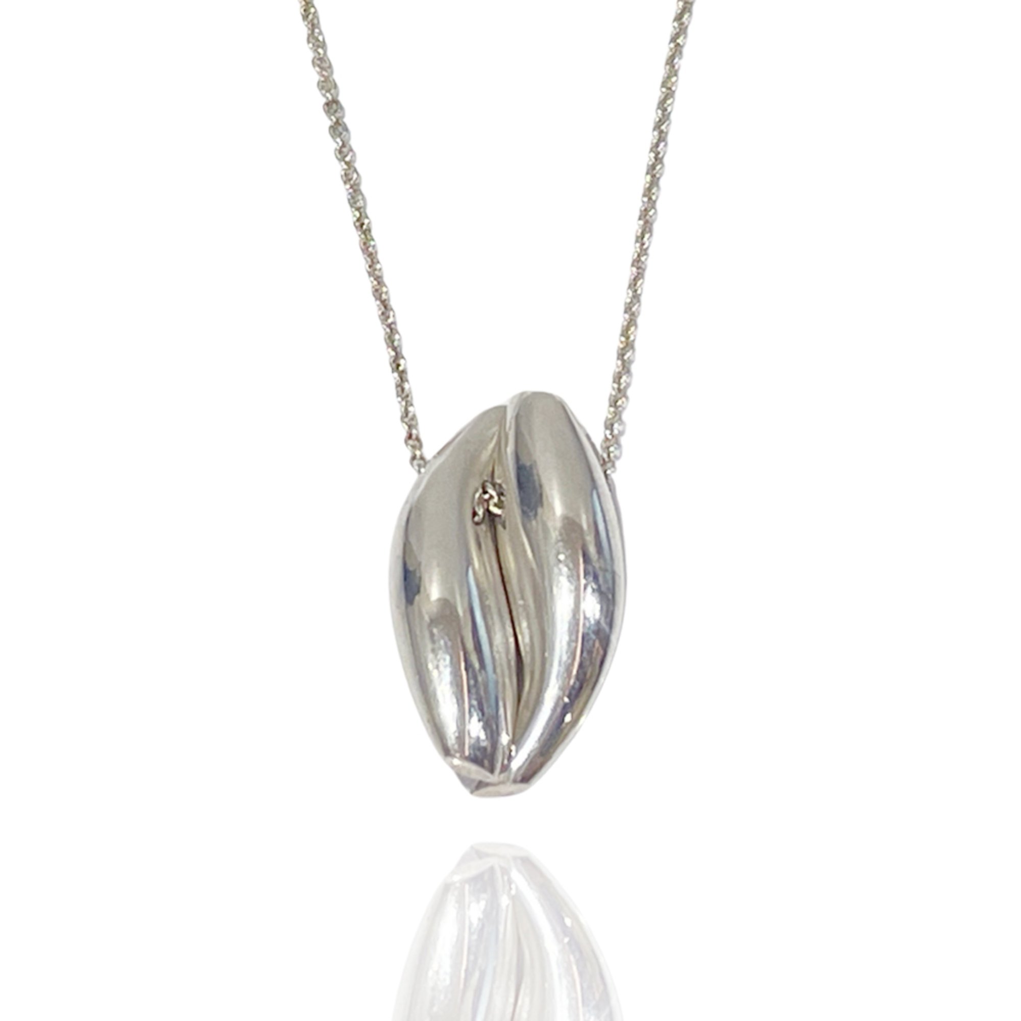 TIFFANY&Co. Tiffany Silver 925 Necklace Rare Frank Gehry Fish Design Women's 20481090