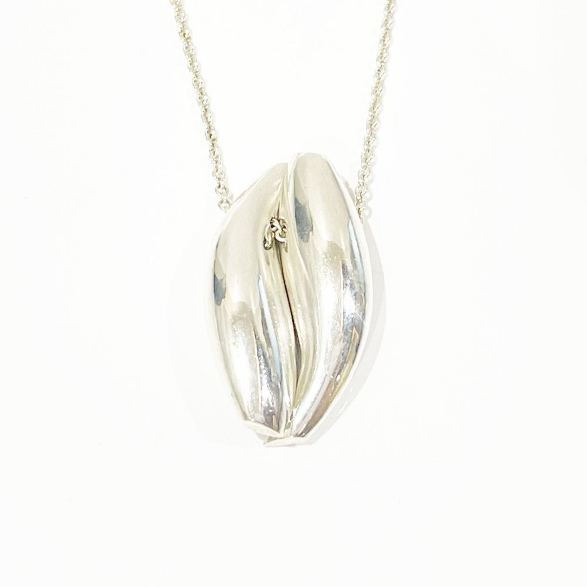 TIFFANY&Co. Tiffany Silver 925 Necklace Rare Frank Gehry Fish Design Women's 20481090