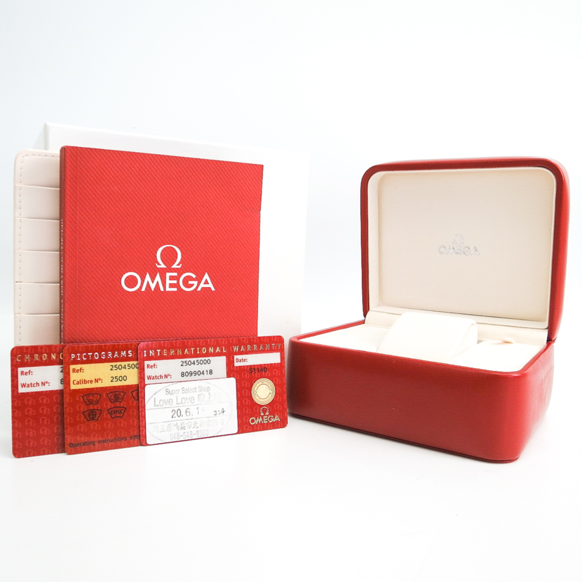 OMEGA Seamaster Aqua Terra Co-Axial Automatic Watch 2504.50