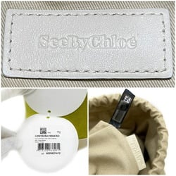 Chloé Beige & Tan Sense Pouch - ShopStyle Shoulder Bags