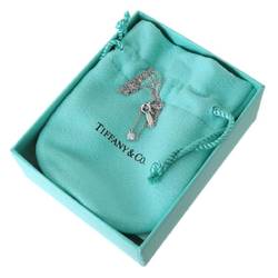 Tiffany & Co. / Pt950 Platinum Elsa Peretti Single Diamond Pendant Neck circumference 41cm